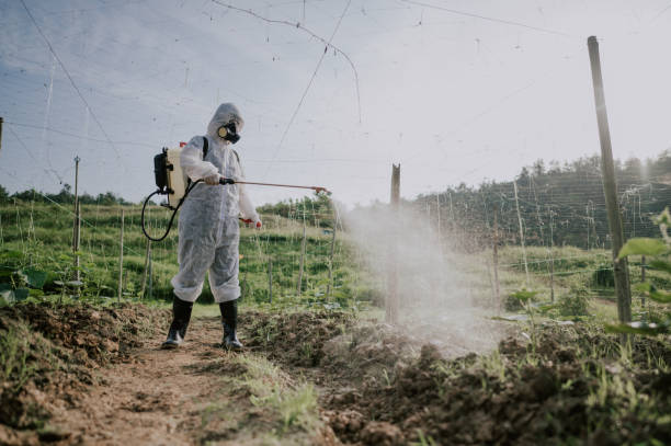 Best Affordable Pest Control Services  in Shamokin, PA