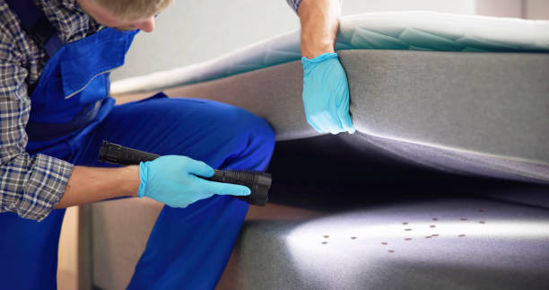 Pest Control for Restaurants in Shamokin, PA