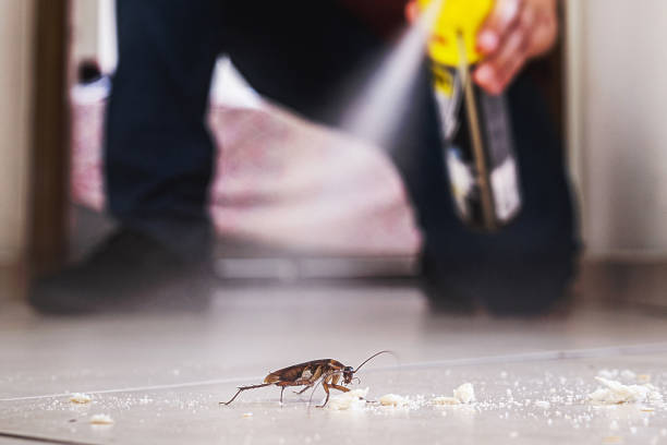 Best Pest Removal Services  in Shamokin, PA