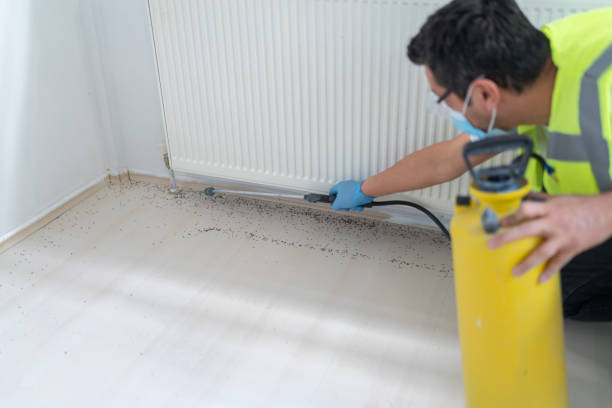 Best Bed Bug Extermination  in Shamokin, PA